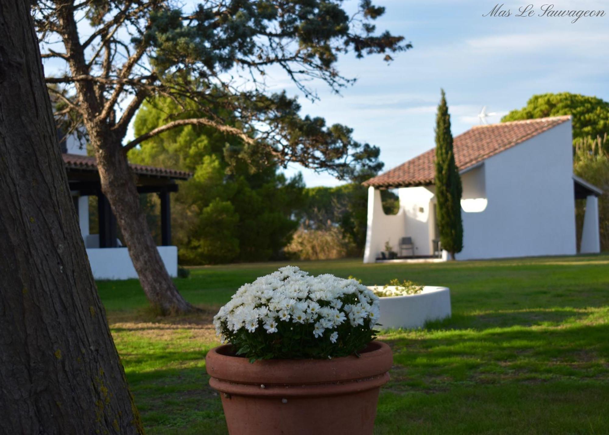 Mas Mls Hotel Saintes-Maries-de-la-Mer Exterior foto